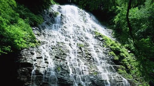电子节能智能